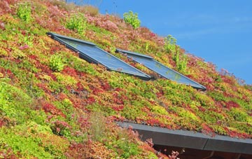 Dowles living roof systems